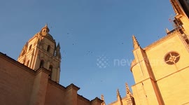 Black birds flying over the Segovia catedral