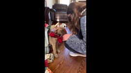 'Her reaction was SO worth it!' After saying no for over a year, US mum surprises daughter with first-ever puppy