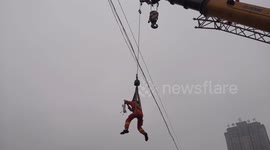 Chinese firefighters rescue egret tangled in fishing line stuck on power lines