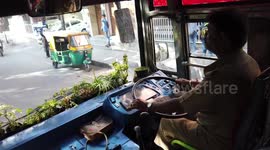 Bus drivers in Indian city hold 'green drive' by planting flowers on their dashboards