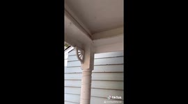 LEGO birdhouse