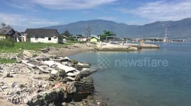 Crocodiles in Palu Bay