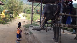girls and elephant