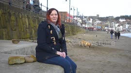 A dogged effort to clean a beach of its rubbish has seen 250,000 items removed off the seafront - by a litter-picking LABRADOR