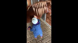 Baby cowgirl brushing and feeding her pony