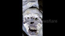 Creepy cave in north Wales has walls covered with monstrous carvings and weird symbols