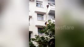 Chinese grandma lowers seven-year-old grandson two floors BY ROPE to rescue her cat