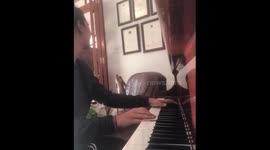 Sound On! Chihuahua is the best music partner in Cyprus