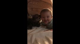 Cat and baby have adorable encounter before bedtime