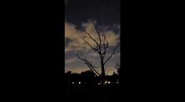 Make call to two owls...not disappointed