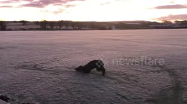This excitable dog can't get enough of sliding across a frosty field in UK
