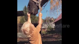 'She is fearless around them!' Horse-obsessed toddler rides and looks after her ponies at home in Slovakia