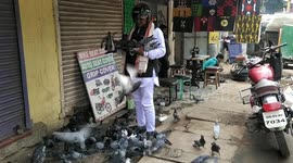 'Birdman' feeds hundreds of pigeons on streets of southeast Indian city