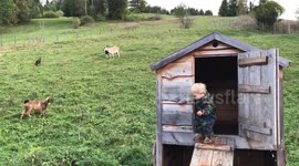 Sweet toddler tries to call her goatfriends to come play with her
