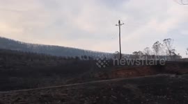 Bushfire Aftermath - Batlow, Snowy Mountains, Australia