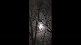 #Bella #Beautiful FULLMOON