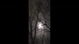 Beautiful full moon wow beautiful