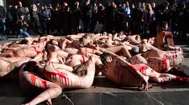 Animal rights activist go naked in Madrid in protest against fur industry