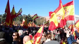 Right wing party vox called a concentration against the new government of Pedro Sanchez in square Cibeles in Madrid, Spain
