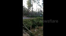 Raging wild elephant smashes parked motorcycle in south India