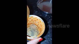 Highly Satisfying Spaghetti Hoops Lines Inside Of Tin