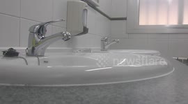Two women wash their hands in the bathroom
