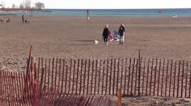A mild sunny day at Toronto eastern beach with a snow fence but no snow covering the sand as this rollercoaster weather continues this winter