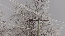 Power lines and trees covered in ice in Ontario, Canada after region hit by major storm