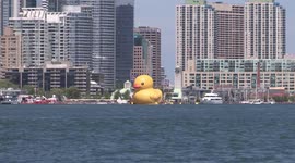 Massive yellow duck coming back to Toronto for summer 2020