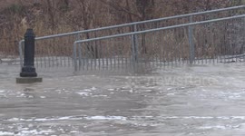 Heavy rainfall causes flooding as Nith river in Ontario, Canada swells