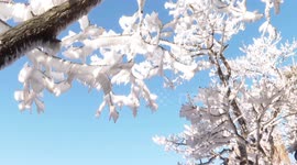 Drone footage shows stunning sea of clouds and ice formations on China's Mount Jiuhua
