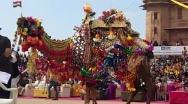 Camels show off their style at dance and beauty contests held in northern India