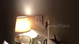 I Turned The Patio Light On