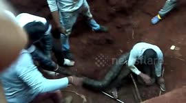 Six pythons rescued from underground concrete piping in east India
