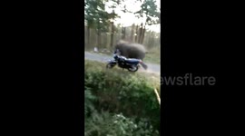 Raging wild elephant smashes parked motorcycle in south India