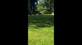 Wilson’s first steps on the grass