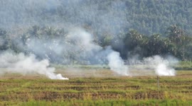 Farmers banned from burning crops as air pollution worsens in Thailand