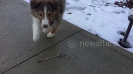Meet Quinn: The newest edition for a Family in Cleveland