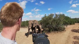 Wildlife photographer captures his closest encounter yet - (Shortened Version)