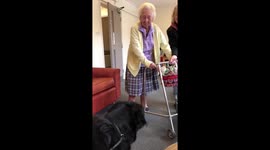 Heartwarming moment grandmother with dementia meets family dog again after long year apart
