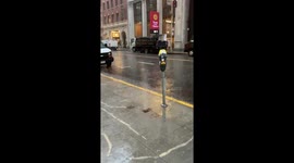 Rainy day in San Francisco