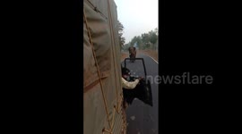Moment driver in India reverses in panic as raging elephant chases him