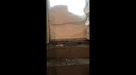 Outside my front door at 3:30 pm ???? #nlwx #nlstorm #Newfoundland https://t.co/ugxjkH0LSH
