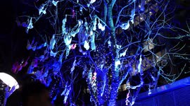 Dozens of bras hang from tree for London art installation