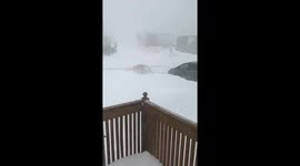 Man films howling record hurricane outside his door in St John’s, Newfoundland