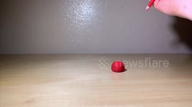 Creative Injection Claymation animation