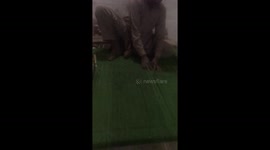a craftsman sewing the cart