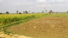 Spectacular Green Naure Travel To Wadi El Rayan