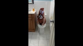 Shit Happens
