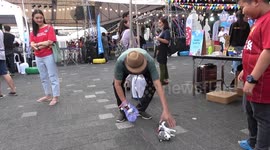 Artificial Intelligence 'Smart Dog' Entertains Crowds